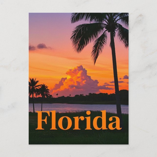 Postal El atardecer retro de Florida: Un paraíso de la an (Anverso)