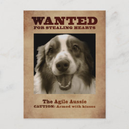 Postal El Aussie Ágile