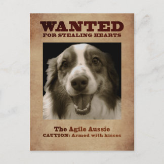 Postal El Aussie Ágile