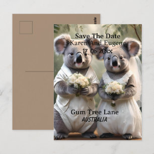Postal El australiano Koala tiene un Boda blanco,