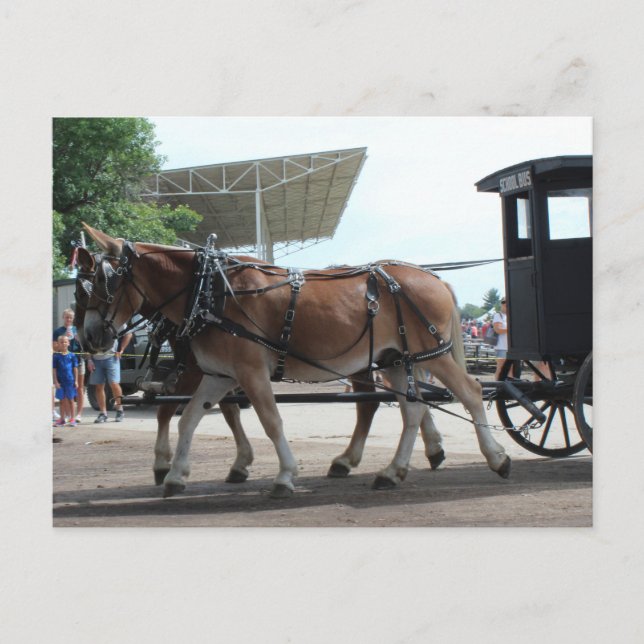 Postal El autobús escolar tirado por mulas (Anverso)