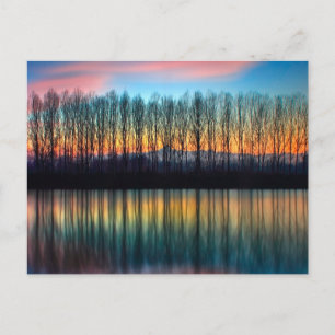 Postal El Banco del Po   Piamonte Italia