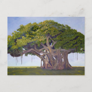 Postal El Banyan de MacArthur