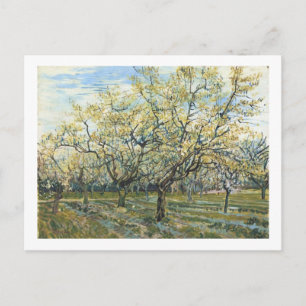 Postal El Bella Artes Van Gogh del Orchard Blanco (F403)