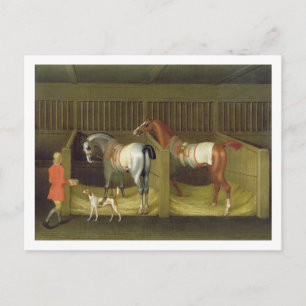 Postal El belongin corriente famoso de los establos y de