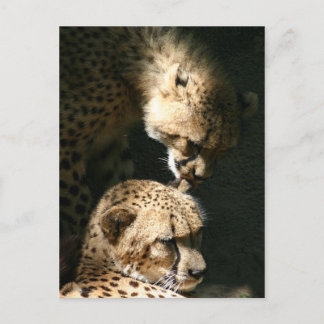 Postal El beso
