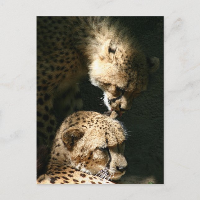 Postal El beso (Anverso)