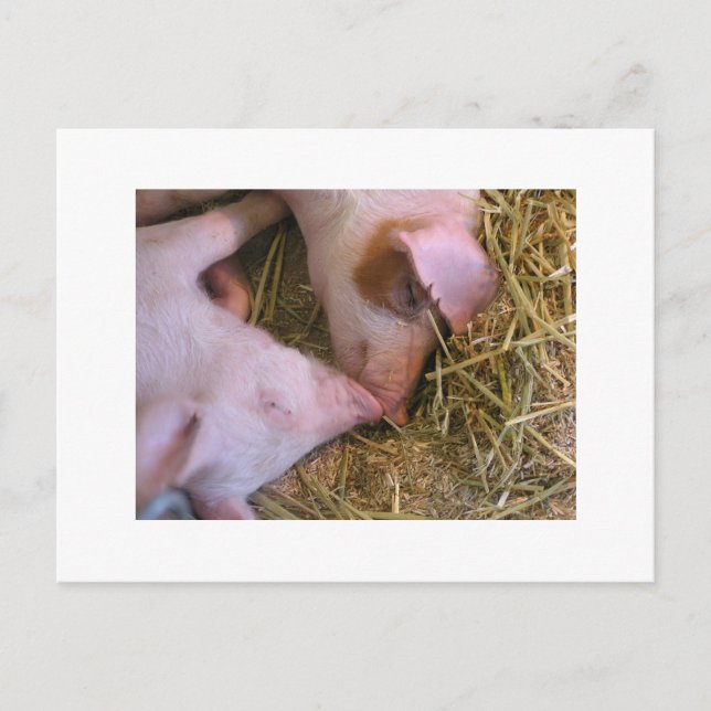 Postal El beso (Anverso)