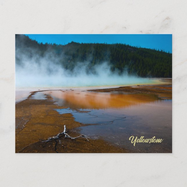 Postal el borde de la gran Primavera Primaria Yellowstone (Anverso)