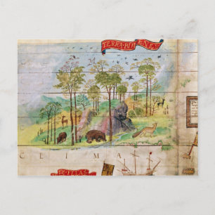 Postal El bosque canadiense