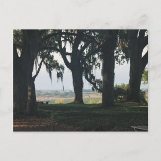 Postal El bosque Naranja pasado de los robles