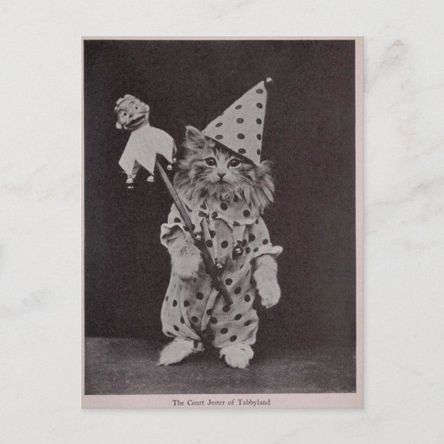Postal El bufón de la corte de Tabbyland (Anverso)