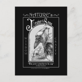 Postal El bufón y sabio de la naturaleza