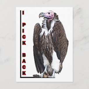 Postal El buitre de Turquía al que devuelvo la foto poste