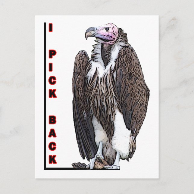 Postal El buitre de Turquía al que devuelvo la foto poste (Anverso)
