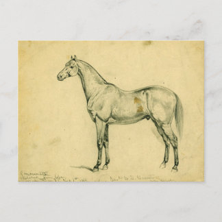 Postal El caballo de guerra del General Grant