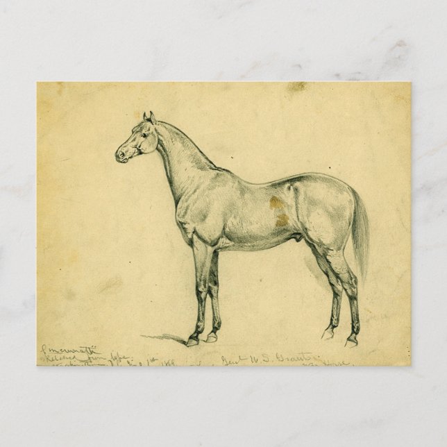 Postal El caballo de guerra del General Grant (Anverso)