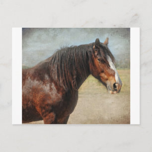 Postal El caballo de trabajo
