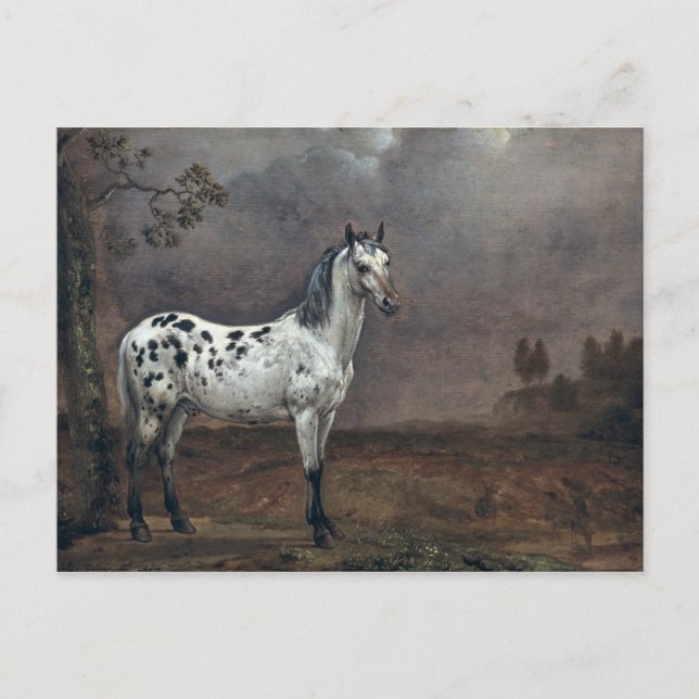Postal El Caballo Piebald, 1653 (Anverso)