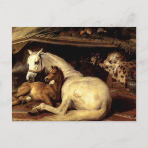 Postal El caballo vintage