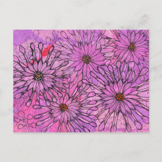 Postal El Cabo Daisy Africano Daisies Flores Rosadas Arte