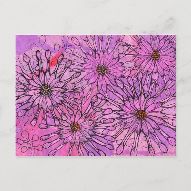 Postal El Cabo Daisy Africano Daisies Flores Rosadas Arte (Anverso)
