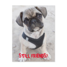 El cachorro de Bulldog francés parece lindo