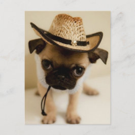 Postal El cachorro de cachorro