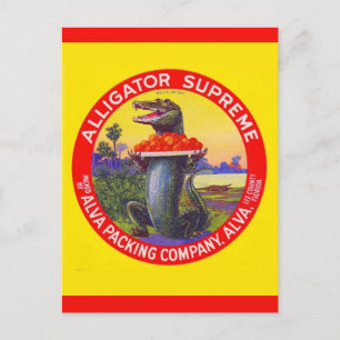 Postal El caimán supremo de Florida