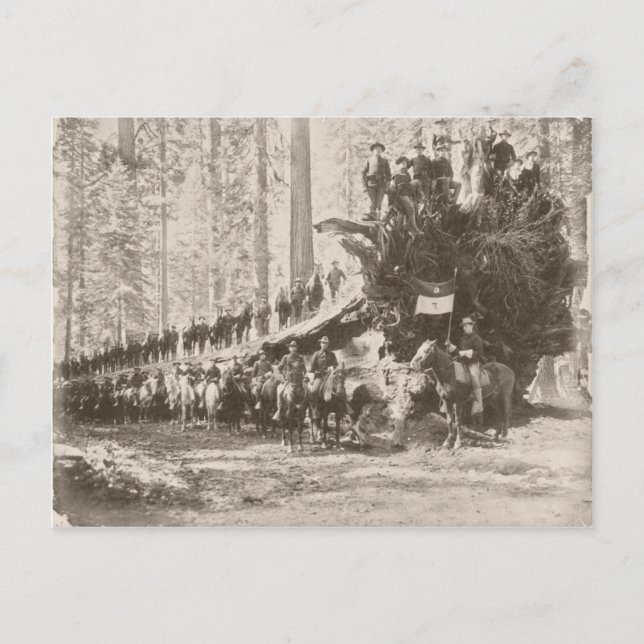 Postal El Calvario de EE. UU. protege los parques naciona (Anverso)