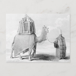 Postal El camello sagrado