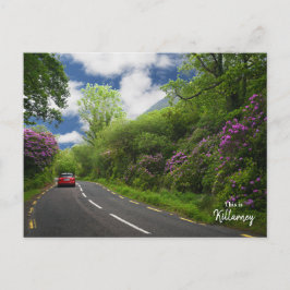 Postal El camino a Killarney-Irlanda