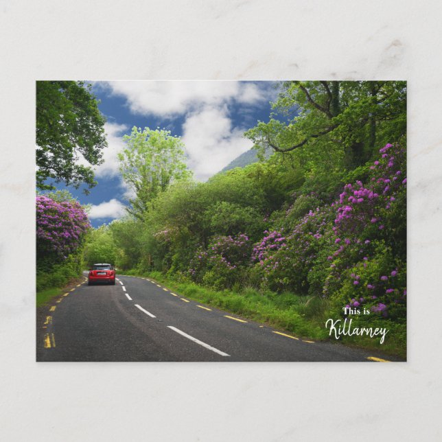 Postal El camino a Killarney-Irlanda (Anverso)