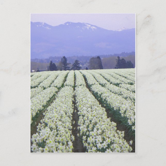 Postal El camino al paraíso (Anverso)