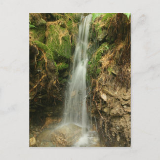 Postal El camino Brook de Martin