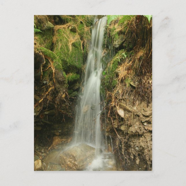 Postal El camino Brook de Martin (Anverso)