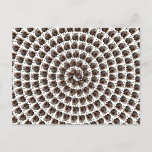 Postal El Camino de Wombat: una espiral de maravillas,