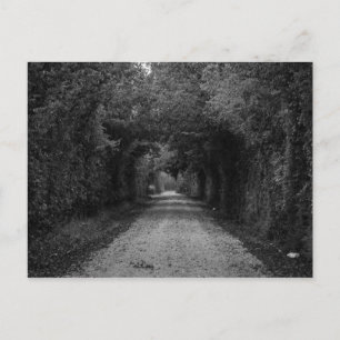 Postal El camino oscuro
