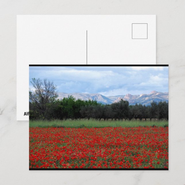 Postal El Campo de Amapolas (Anverso / Reverso)