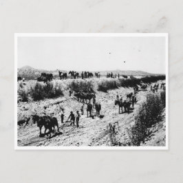 Postal El Canal De Arizona