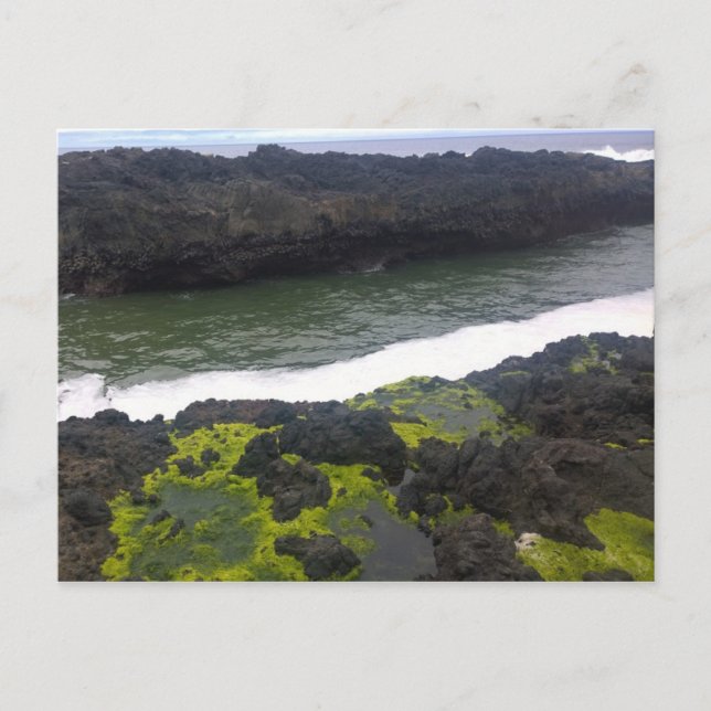 Postal El caos de Coco, Cabo Perpetua, Oregón (Anverso)