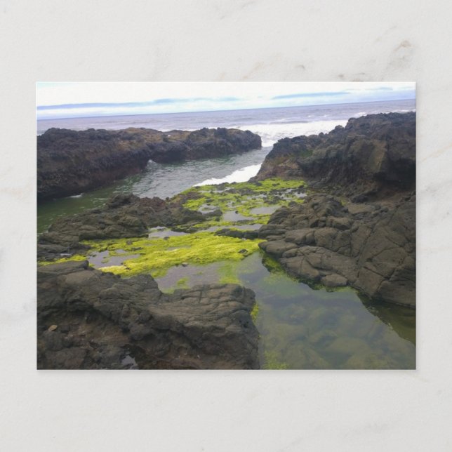 Postal El caos de Coco, Cabo Perpetua, Oregón (Anverso)