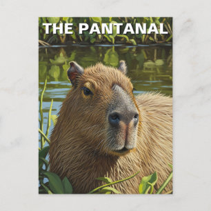Postal El capibara en el Pantanal
