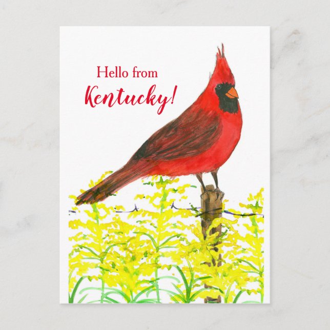 Postal El Cardenal Goldenrod Hola Desde Kentucky (Anverso)