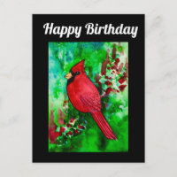 El cardenal norte Handsome Happy Birday