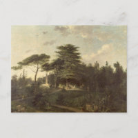 El cedro de Líbano en el Jardin des Plantes