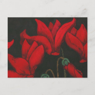 Postal El ciclamen rojo florece sobre un fondo negro oscu