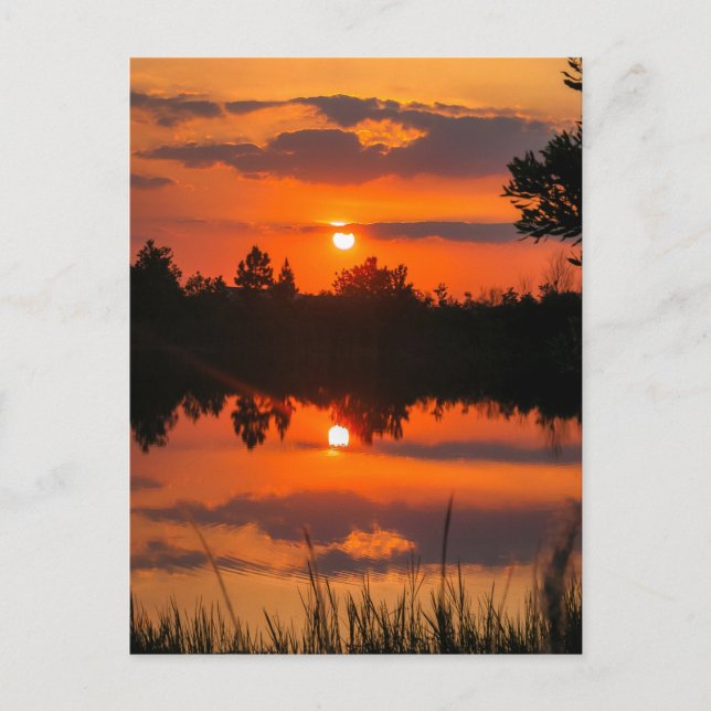 Postal El cielo de Florida #5 (Anverso)