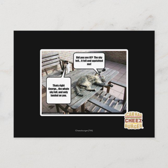 Postal El cielo está cayendo (Anverso)