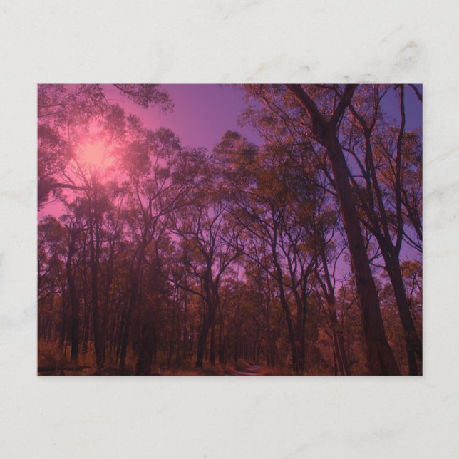 Postal El cielo morado (Anverso)